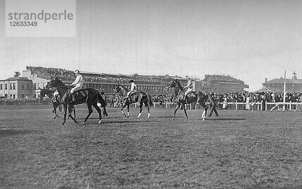 St. Leger-Pferde vor der Tribüne in Doncaster  um 1901  (1903). Künstler: WW Rouch.