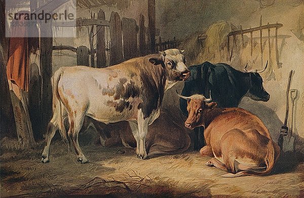 Ein Stier und drei Kühe in einem Stall  um 1856. Künstler: Thomas Sidney Cooper.