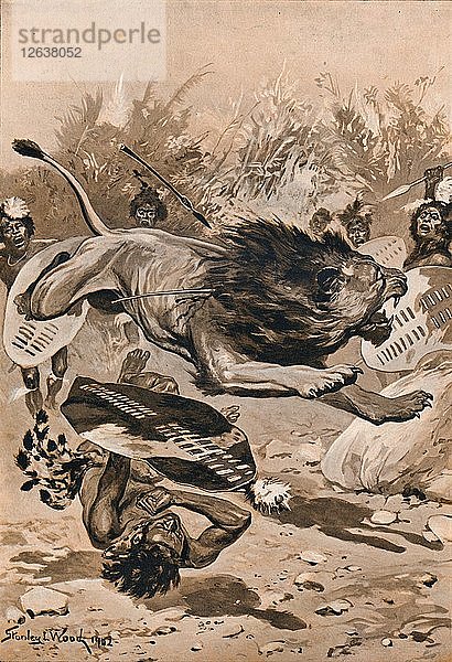 Als der Löwe angriff  1902  (1903). Künstler: Stanley Llewellyn Wood.
