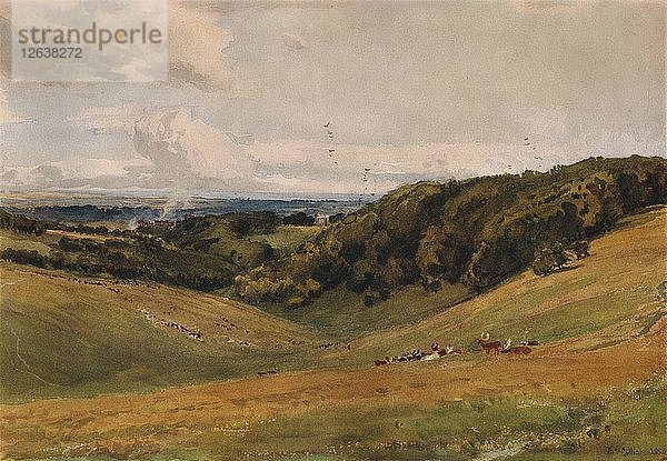 Arundel Park  mit Hirschen  1880. Künstler: Thomas Collier.