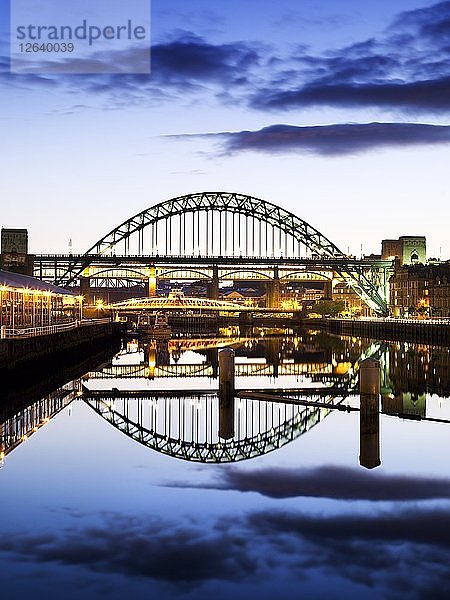 Brücken über den Fluss Tyne  Newcastle upon Tyne  2008. Künstler: Historic England Mitarbeiter Fotograf.