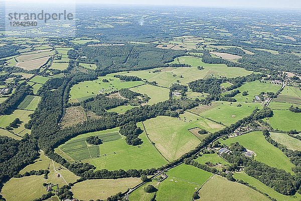 Brightling Park  East Sussex  um 2015. Künstler: Damian Grady.