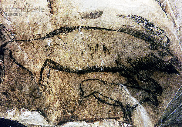 Tafel 5  Nr. 94 Schwarzer Saal (Niaux-Höhle): Sie wurde als totes Bisonweibchen interpretiert  das von der o?