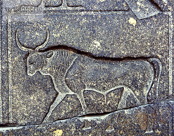 Negativrelief auf einer Säule von Ramses II. mit der Darstellung eines Stiers  1250 v. Chr.