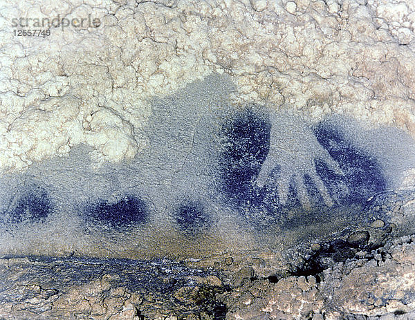 Tafel der Spitzen Pferde (Gemäldesaal  Höhle von Pech-Merle): Detail einer Hand im Negativ in bla?