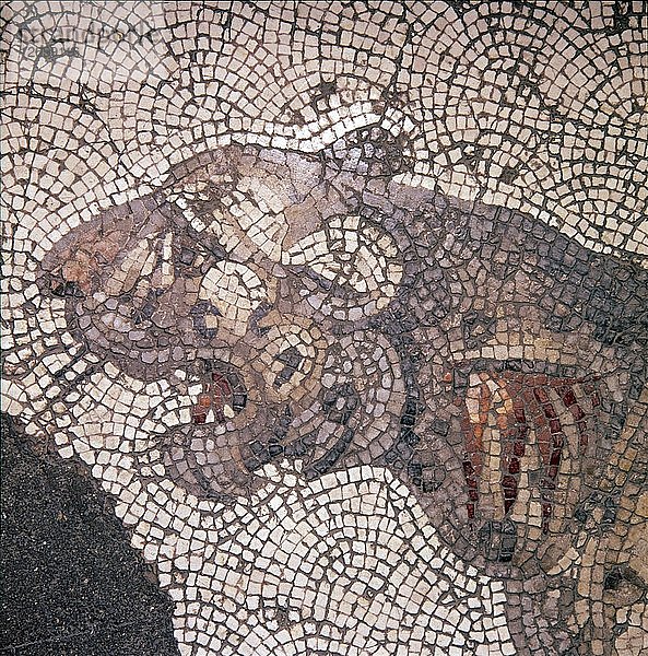 Detail eines Leopardenmosaiks  Großer Palast  Istanbul  4.-6. Jahrhundert. Künstler: Unbekannt.
