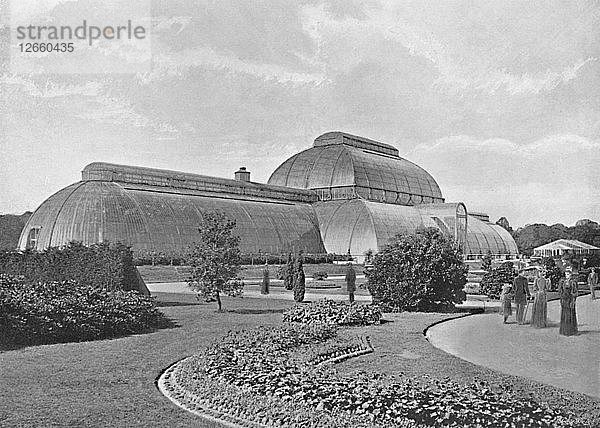 Das Große Palmenhaus  Kew Gardens  um 1896. Künstler: York & Sohn.
