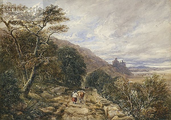 Feldweg  der zur Burg Harlech führt  1842. Künstler: David Cox der Ältere.