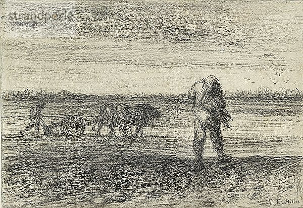 Ein Mann pflügt  ein anderer sät  1849-1852. Künstler: Jean Francois Millet.