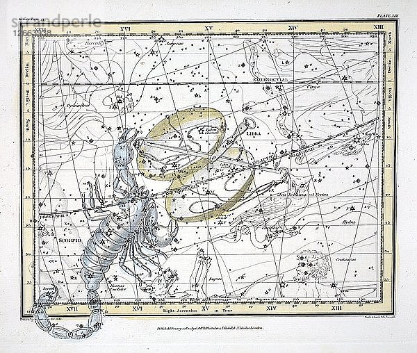Die Sternbilder (Tafel XIX) Waage und Skorpion  1822.