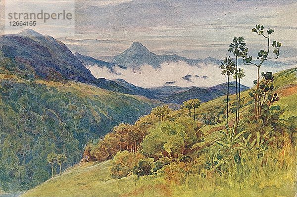 Morgennebel im Tal des Mahawelli Gangha  um 1880 (1905). Künstler: Alexander Henry Hallam Murray.