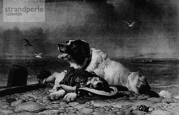 Gerettet!  um 1856  (1911). Künstler: Edwin Henry Landseer.