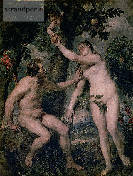 Gemälde von Peter Paul Rubens (1577 - 1640) Adam und Eva  Kopie des Gemäldes von Tizian  aufbewahrt in der?