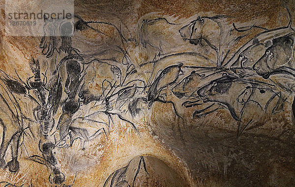 Malerei in der Chauvet-Höhle  32.000-30.000 v. Chr.
