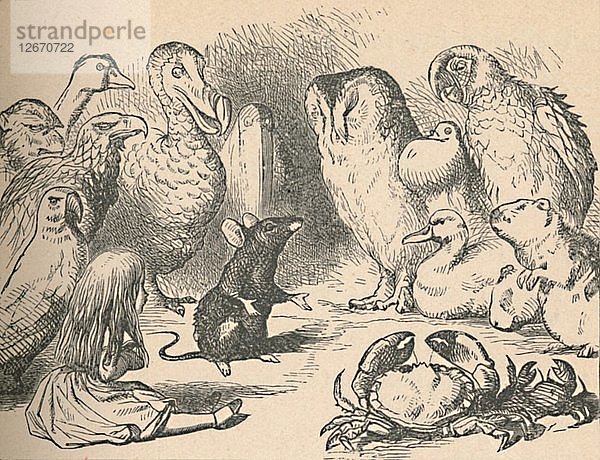 Illustration für das Kapitel ein Caucus-Rennen und ein langer Schwanz. Alice und verschiedene Kreaturen  wie Künstler: John Tenniel.