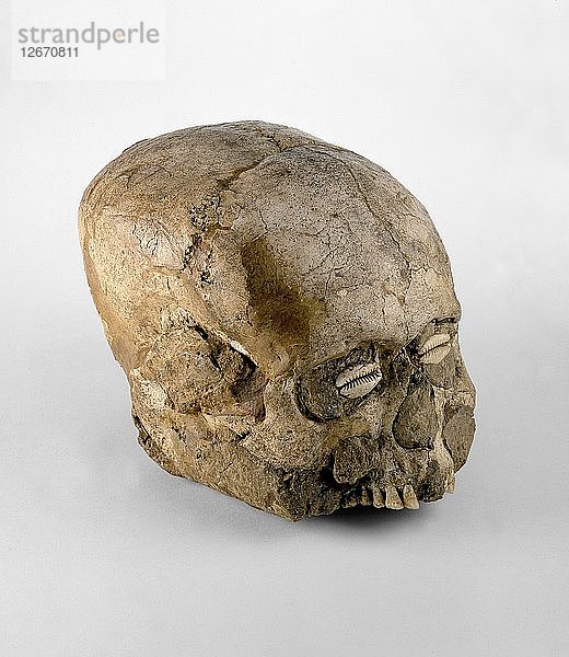Schädel (Jericho-Schädel)  Präkeramik Neolithikum B  7300-6300 v. Chr. Künstler: Unbekannt.