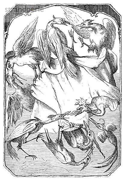 Die Eselskohlköpfe  1901. Künstler: Edward Henry Wehnert.