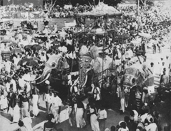 Heiliger Elefant bei der Perahera-Prozession  Kandy  Ceylon  um 1890  (1910). Künstler: Alfred William Amandus Platte.