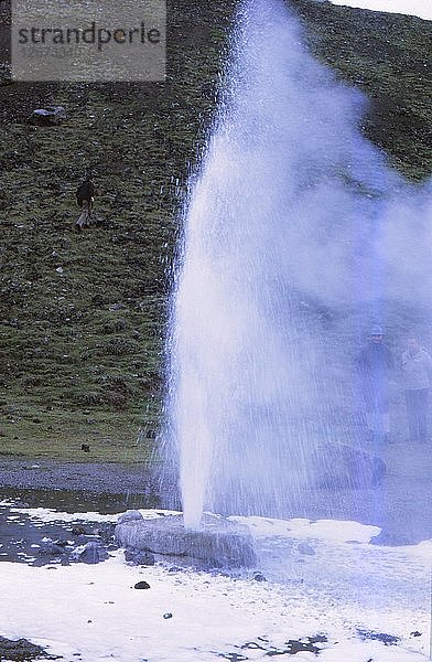 Geysir in Hverageroi  Island  20. Jahrhundert. Künstler: CM Dixon.