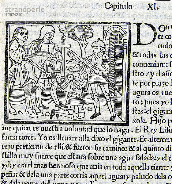 Amadis de Gaula  ein Meisterwerk der mittelalterlichen Literatur des 16. Jahrhunderts  Seite aus einer Ausgabe von 1533.