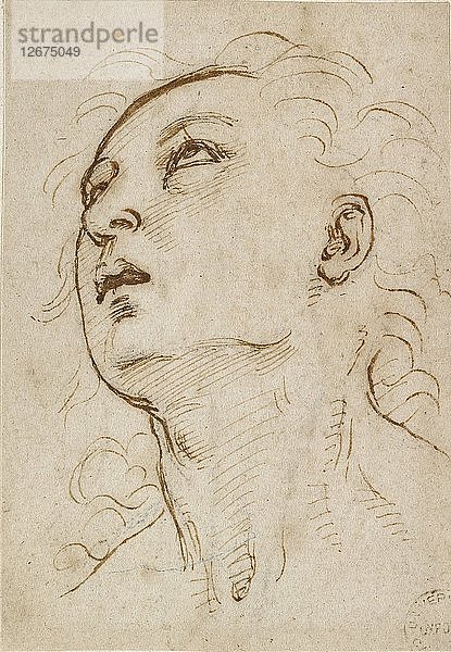 Kopf eines jungen Mannes  der nach oben blickt  um 1497-c1504. Künstler: Raphael.