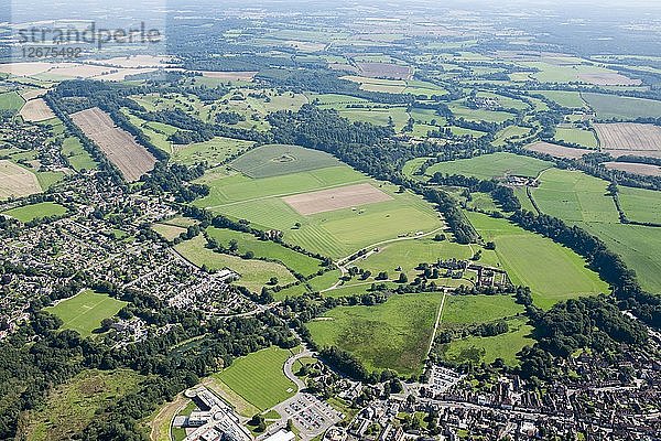 Cowdray Park  West Sussex  um 2015. Künstler: Damian Grady.