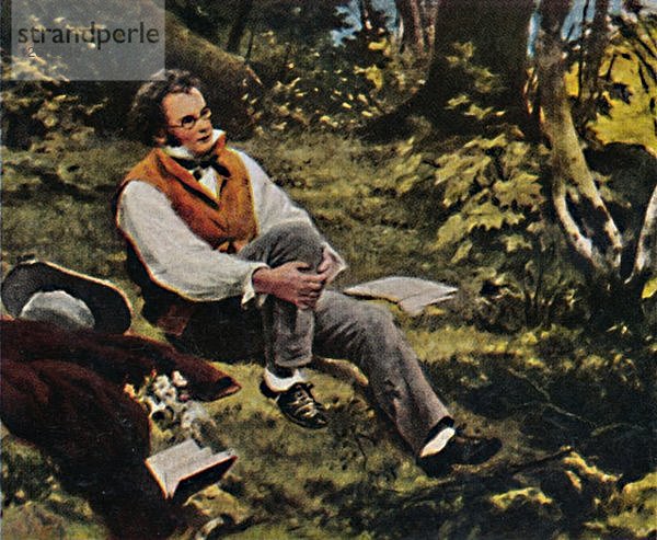 Franz Schubert 1797-1828. - Gemälde von J. Schmid  1934. Künstler: Unbekannt.
