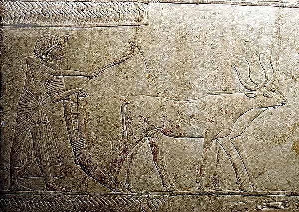 Pflügen aus einer ägyptischen Stele  18. Dynastie  1332 v. Chr. - 1323 v. Chr. Künstler: Unbekannt.