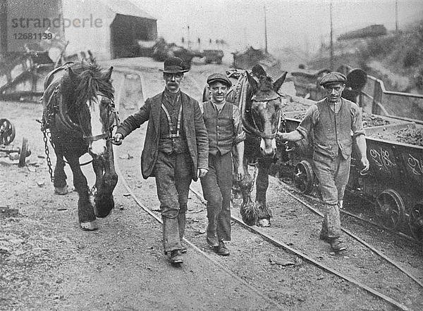 Nach der Besiedlung: Bergleute bringen ihre Ponys zurück in die Grube  1915. Künstler: Unbekannt.