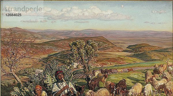Die Ebene von Esdraelon von den Höhen über Nazareth  1876. Künstler: William Holman Hunt.