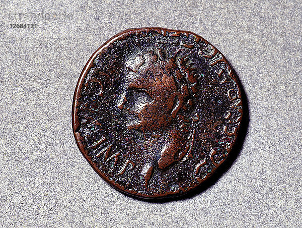 Römische Münze aus der ersten Hälfte des 1. Jahrhunderts  mit einem nach links gewandten Kopf  dem ausgebenden Autor?