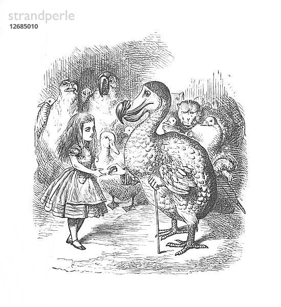 Alice und der Dodo  1889. Künstler: John Tenniel.