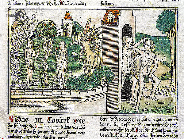 Kupferstich von Adam und Eva im Paradies  Szene in der Nürnberger Bibel  deutsche Ausgabe 1483.