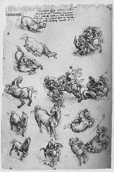 Blatt mit Studien von Pferden  einer Katze und dem Heiligen Georg und dem Drachen  um 1480 (1945). Künstler: Leonardo da Vinci.