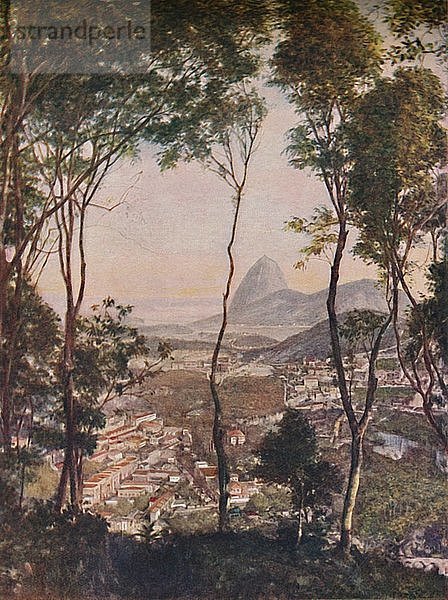 Üppige Wälder auf dem Hügel von Santa Thereza mit Blick auf die Dächer von Lapa  um 1935. Künstler: Unbekannt.