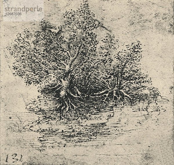 Zwei Bäume am Ufer eines Baches  um 1480 (1945). Künstler: Leonardo da Vinci.