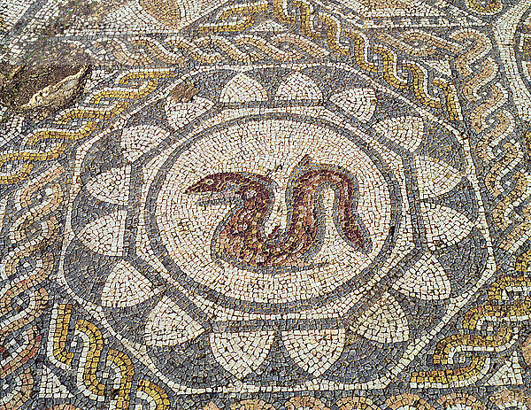 Mosaik im Amphitheater  das eine Schlange darstellt  erhalten in der archäologischen Stätte von Me?