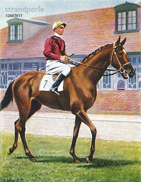 Señor  Jockey: J. Crouch  1939. Künstler: Unbekannt.