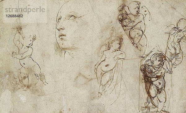 Verschiedene Studien  hauptsächlich für die St. Katharina von Borghese-Beckford  frühes 16. Jahrhundert. Künstler: Raffael.