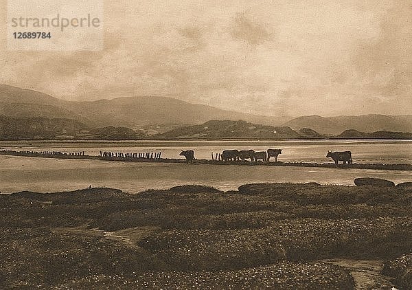 Der Taubenschlag in Ynyslas  1902. Künstler: Unbekannt.