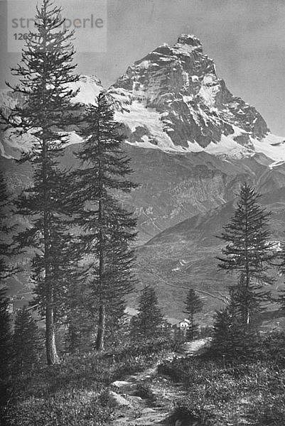 Das Matterhorn von der italienischen Seite  Wald von Brühl  1917. Künstler: Donald McLeish.