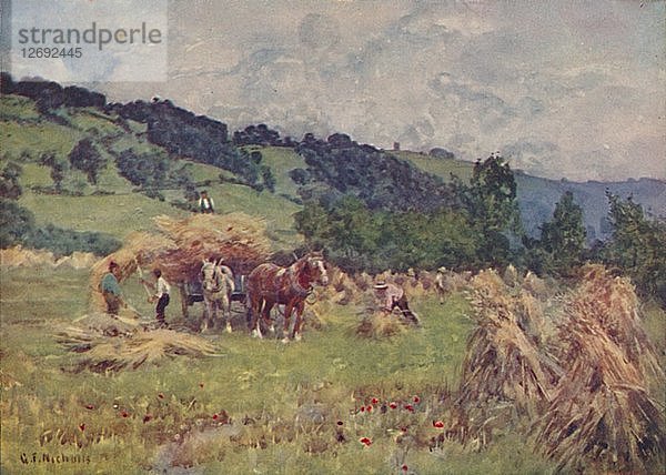 Ein Kornfeld  1910. Künstler: George F. Nicholls.