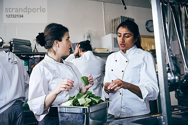 Multi-ethnic female chefs discussing over vegetable in commercial kitchen