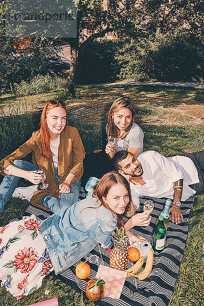 High angle portrait of young multi-ethnic friends enjoying picnic during summer at back yard