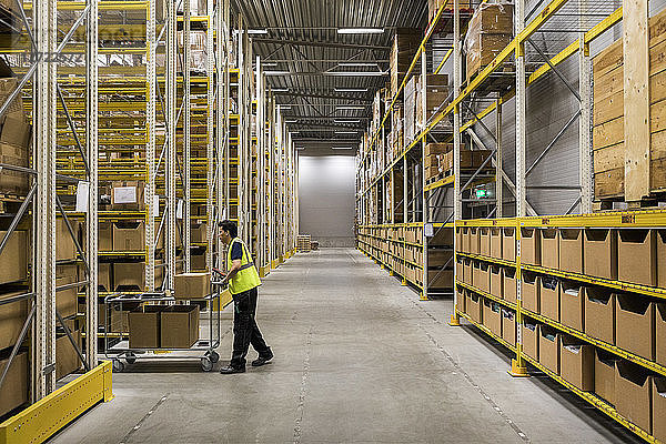 Full length side view of young warehouse worker pushing cart on aisle in industrial building