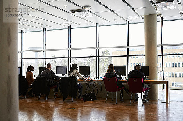 Rear view of young male and female students using computers in university