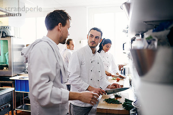 Young chef talking with colleague while chopping vegetable in commercial kitchen