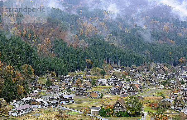 Japan  Japanische Alpen  Shirakawa-go  strohgedeckte Häuser