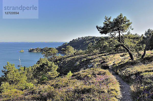 Frankreich  Nordwestfrankreich  Bretagne  Presqu'isle of Crozon  Küstenweg in Morgat