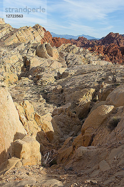 USA  Bundesstaat Nevada  der Valley of Fire State Park